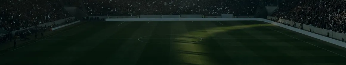 Fußballstadion für Lille gegen PSG